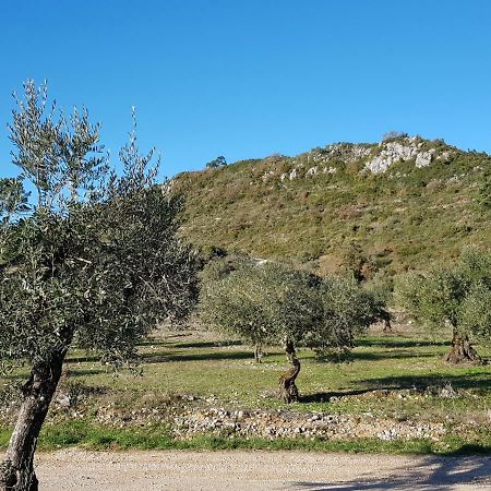 Casa Das Oliveiras Alvados Bagian luar foto
