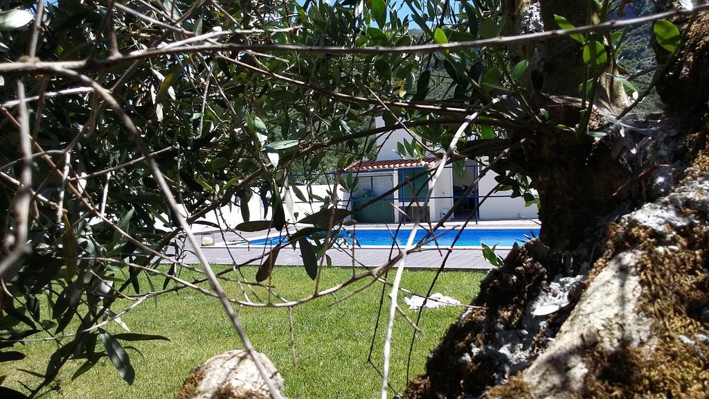 Casa Das Oliveiras Alvados Bagian luar foto