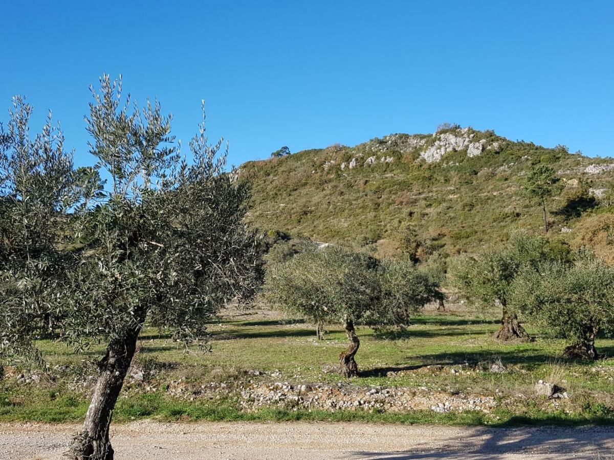 Casa Das Oliveiras Alvados Bagian luar foto