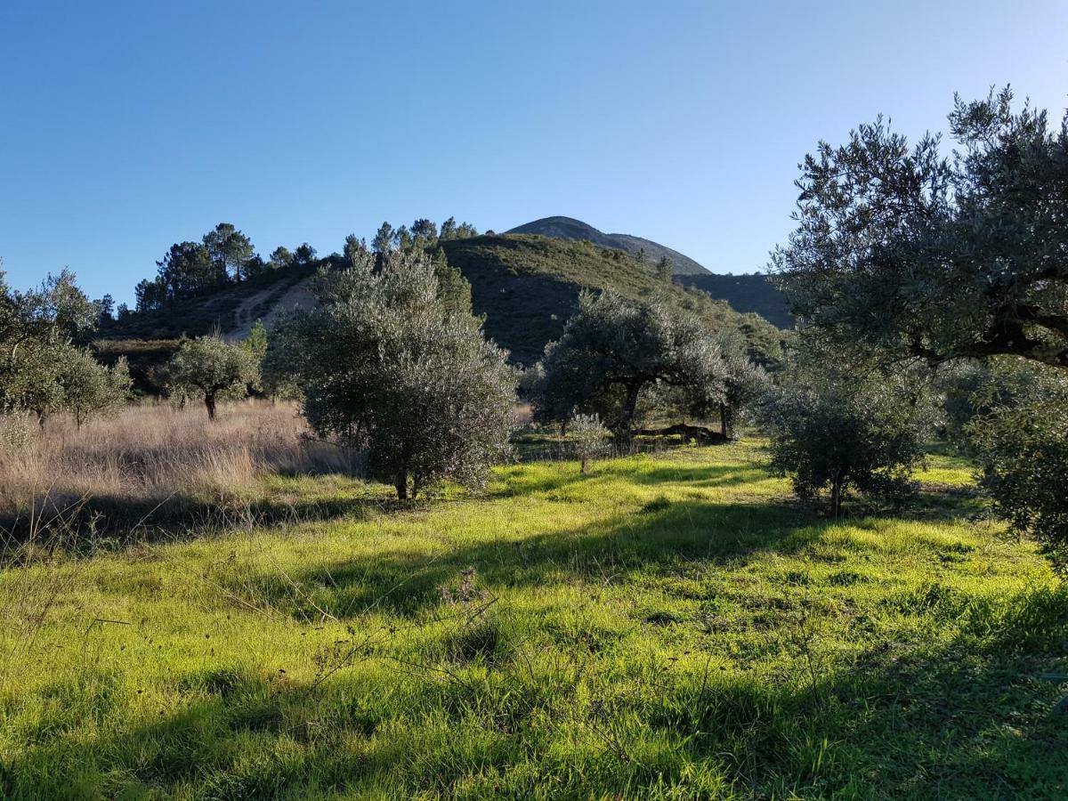 Casa Das Oliveiras Alvados Bagian luar foto